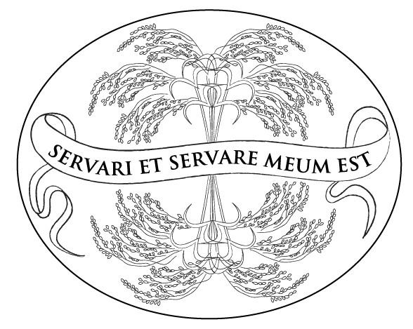 Logo Fondazione Memofonte