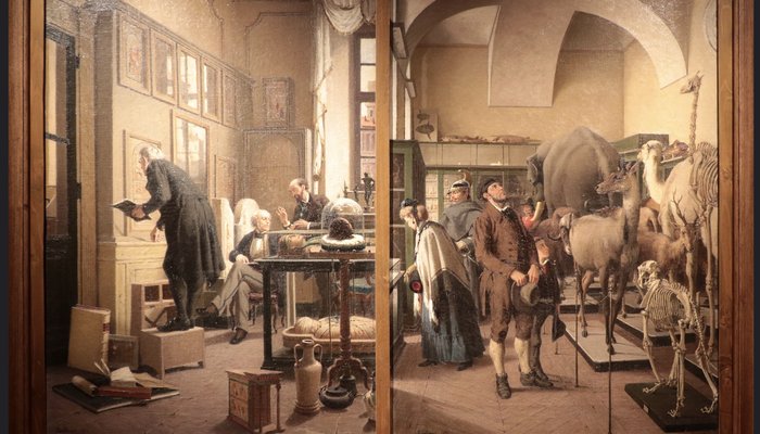 Immagini dei musei italiani: il pubblico