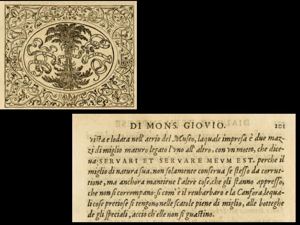 Storia del logo Memofonte