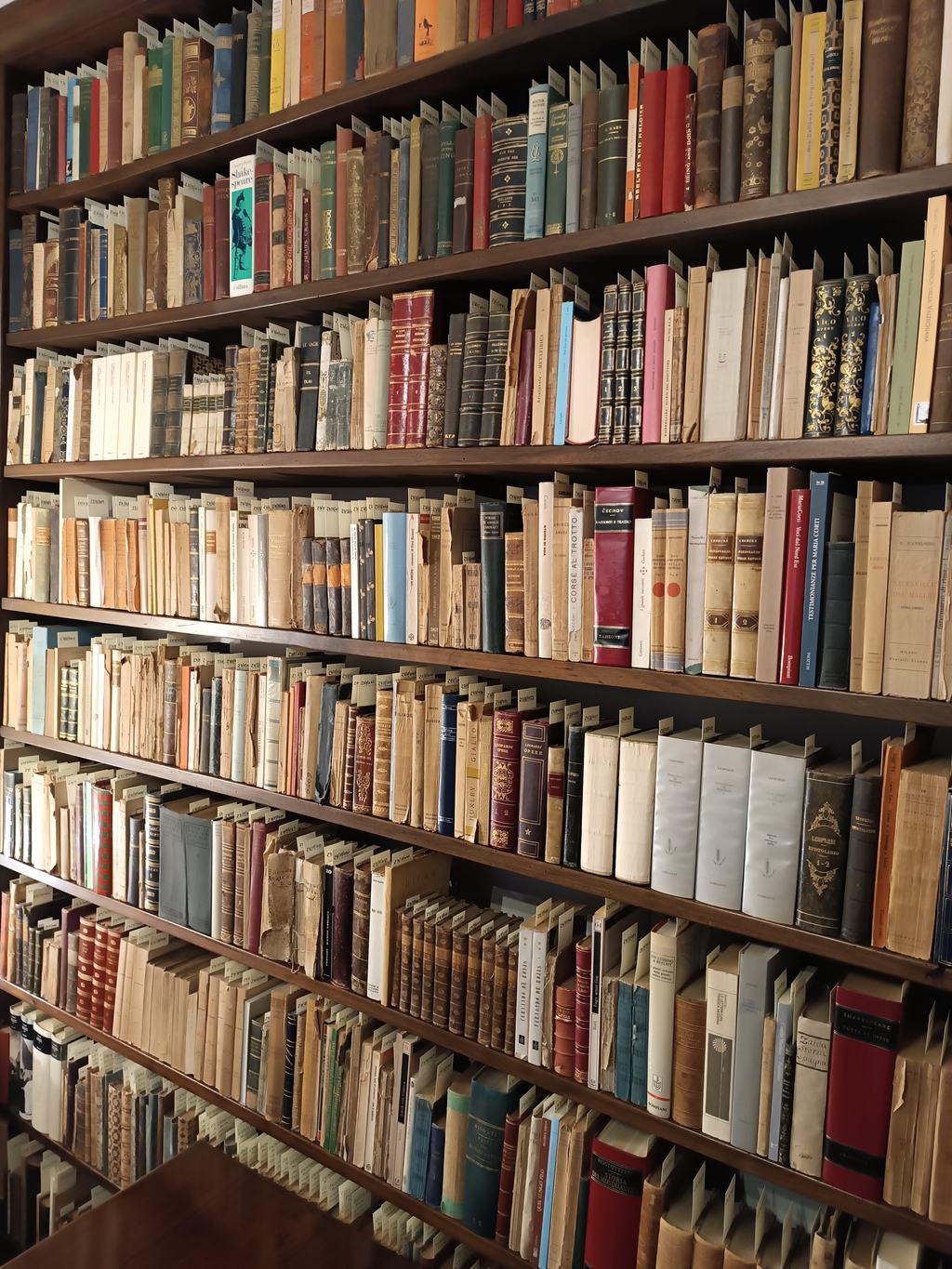 Libreria studio