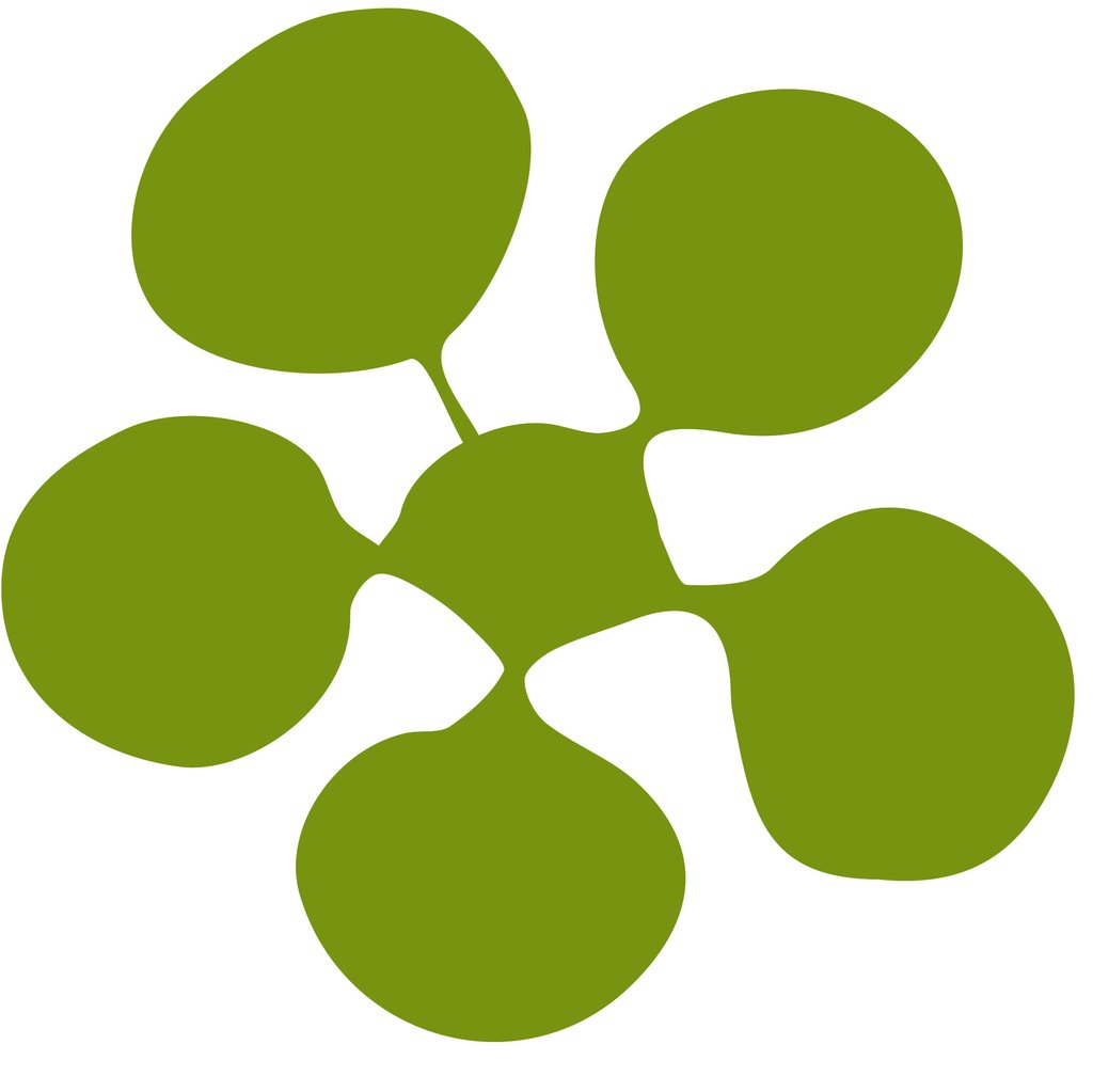 MOSTRA_SPES_COLLANE_dattiloscritti