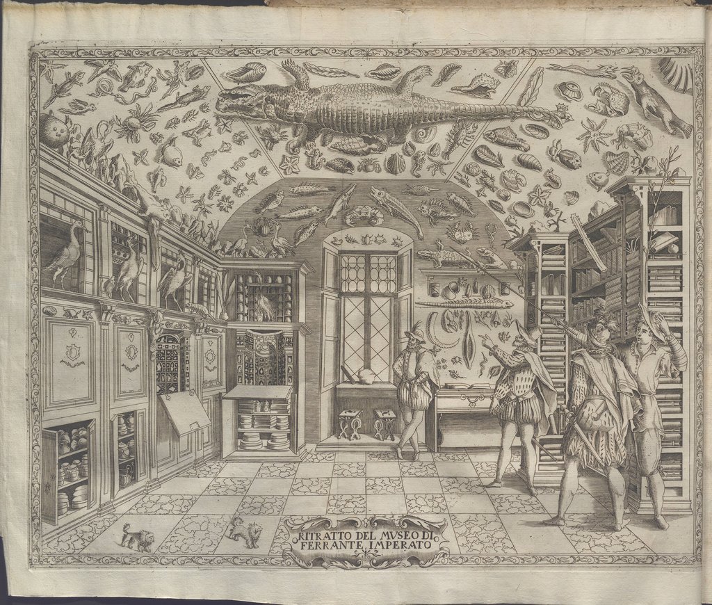 Antiporta della Historia Naturalis di Ferrante Imperato, 1599